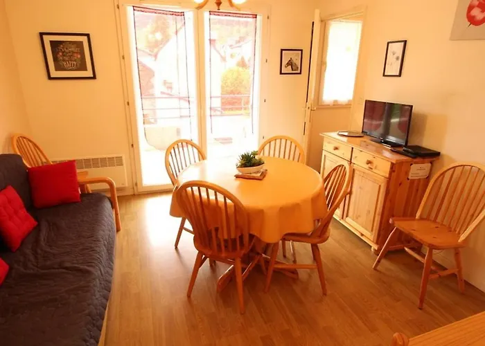 Proche Thermes - T2 Avec Balcon, Parking Et Wifi - Animaux Admis - Fr-1-313-170 *